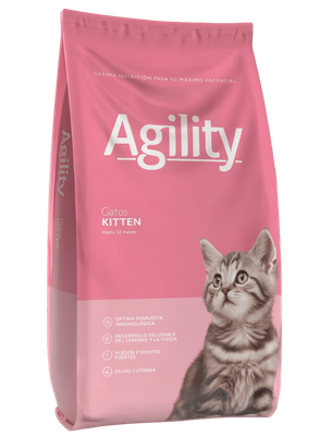 Agility Gatos Kitten