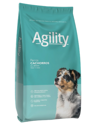 Agility Perros Cachorros – All Breeds